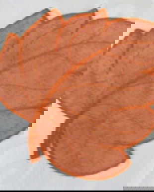 rez.Silvia -aplicatie frunza