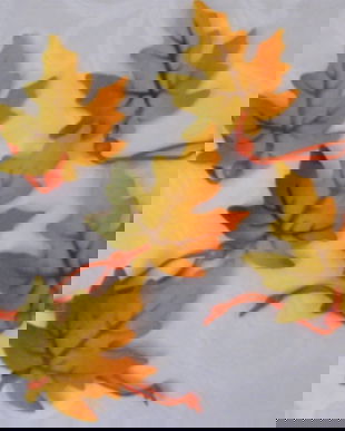 rez.Emanuela-Set 5 frunze decorative pasla