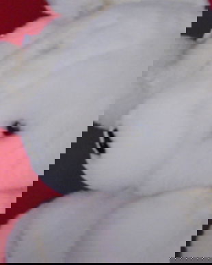 Rucsacel Coca cola ursulet-NOU