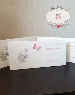 Plic de bani botez iepuras cu fluture