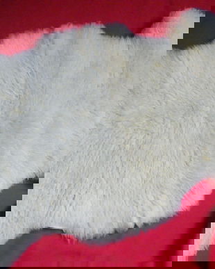 rez.Iuliana-blana de oaie