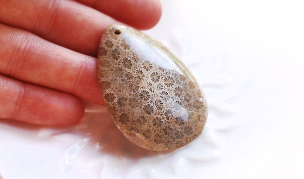 Pandant  coral fosil