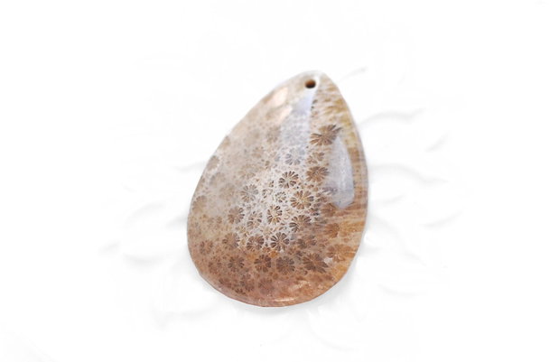 Pandant  coral fosil
