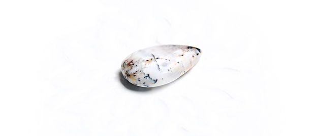 Cabochon  opal dendritic - L40