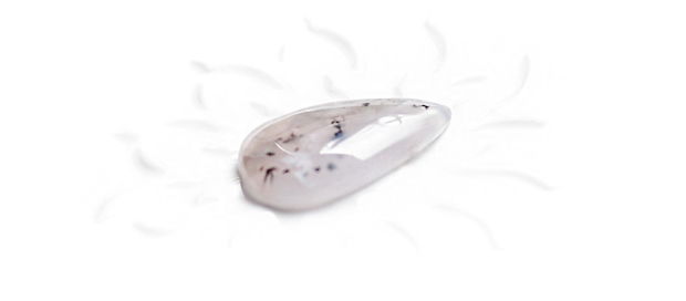 Cabochon  opal dendritic - L43