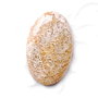 Cabochonn coral fosil - L32