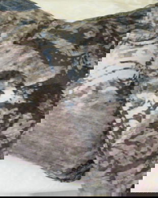 Set 2 perne decorative-NOI