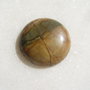 Cabochon din  jasper Picasso de aprox 25 mm