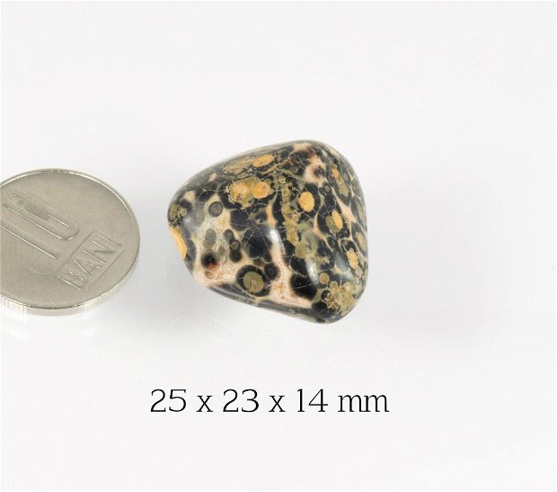 Jasper Leopardskin rulat, 25x23x14 mm, LSR01