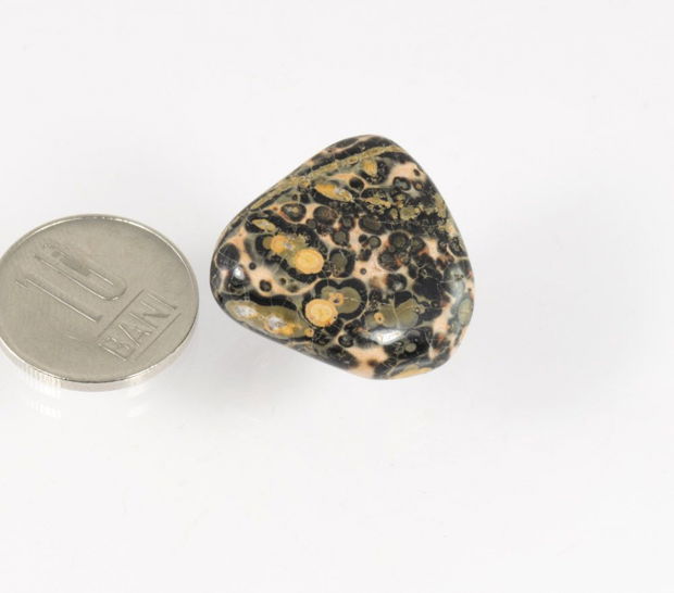 Jasper Leopardskin rulat, 25x23x14 mm, LSR01