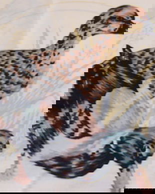 Husa perna decorativa