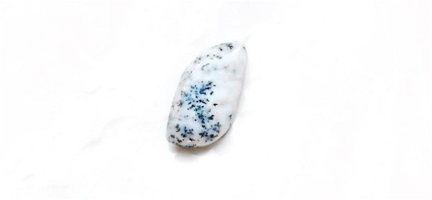 Cabochon  opal dendritic -  L93