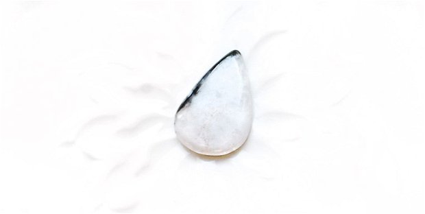 Cabochon  opal dendritic - L95