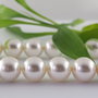 Perle seashell 14mm, cod ID49 (1)