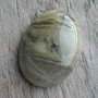 Cabochon silver leaf jasper, 40x30 mm