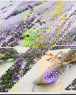 Saculeti lavandă din iută, culoarea natur-Marturii nunta/botez (CITIȚI DESCRIEREA)