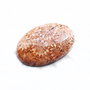 Cabochon coral fosil - L97