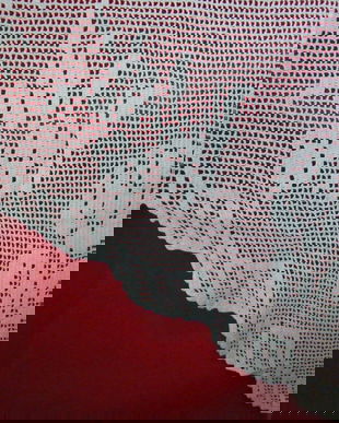 Perdeluta crosetata-noua