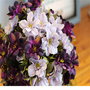 K0282 - Buchet flori decorative, 7 ramurele, lungime 30cm