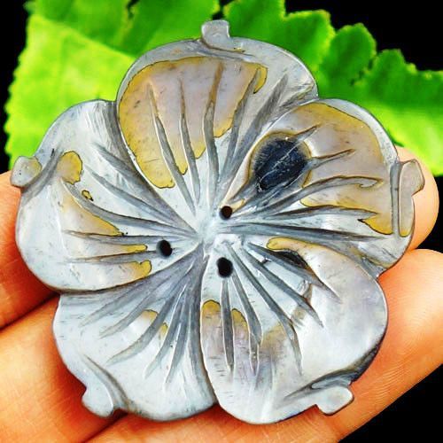 Pandanr floare shell