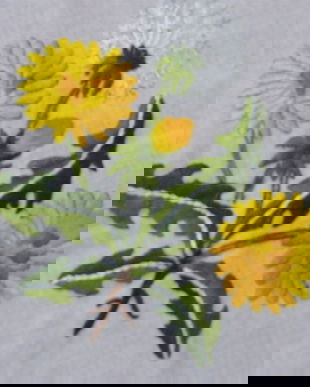 Fata de masa brodata