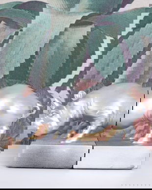 Set doua suporturi pentru carti din rasini speciale