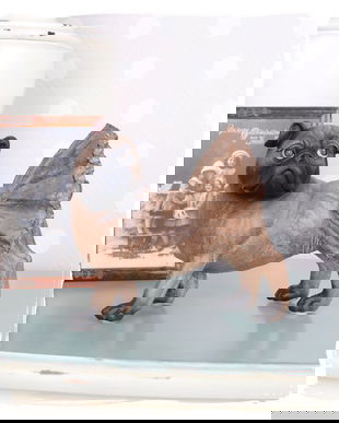 Mops decorativ din rasini