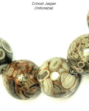 Crinoid Jasper (cod 1208)