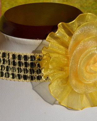 Golden Rose