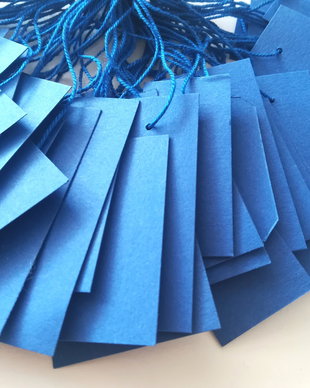 Price tags. Etichete pret. Etichete albastre