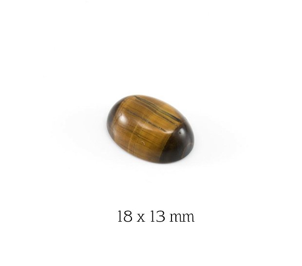Cabochon Tiger Eye, 18 x 13 mm, B22