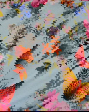 Cupon jerse cu fluturi