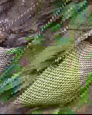 Gentuta fibre vegetale