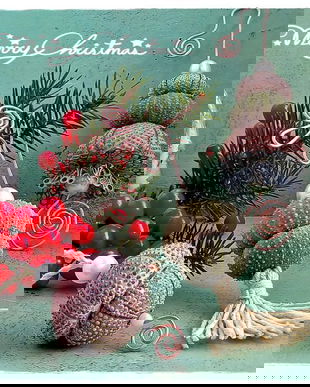 Decoratiuni din arici de mare ~ Rustic Christmas