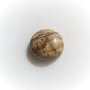 Cabochon 2 din landscape jasper aprox 25x9 mm