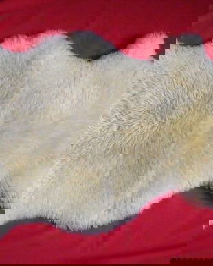 Rezervat-Iuliana-covor blana