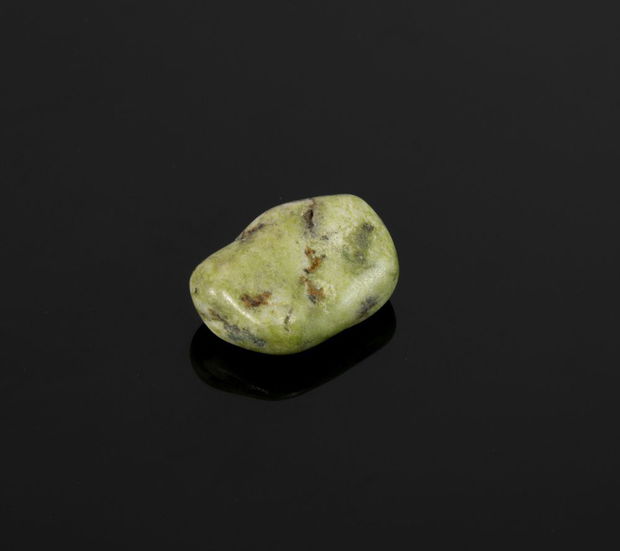 Serpentina rulata, 27 x 18 x 11 mm, SER03