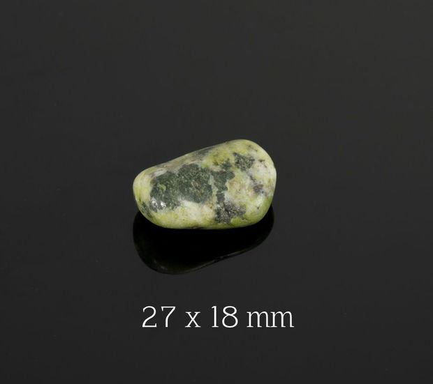 Serpentina rulata, 27 x 18 x 11 mm, SER03