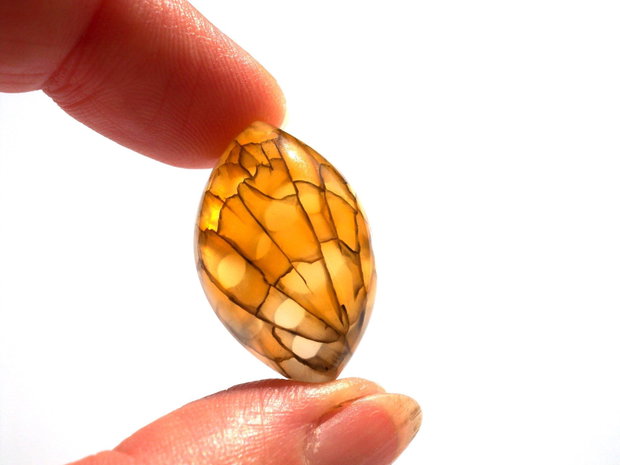 Cabochon agat