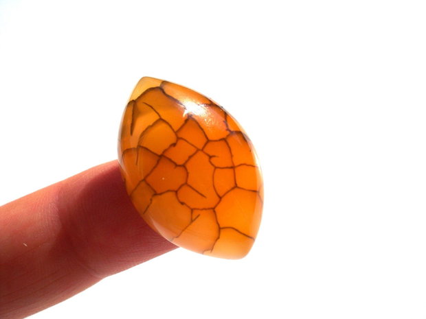Cabochon agat