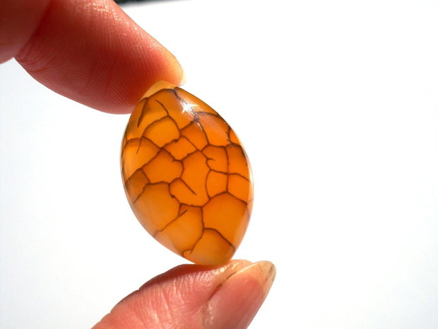 Cabochon agat