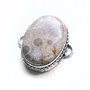 Link coral fosil