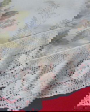 NOUA-Husa pilota cu dantela