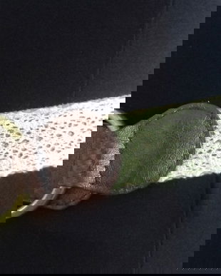 curea din piele si dantela