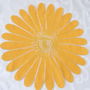 rez.Silvia Floare panza pt aplicatii