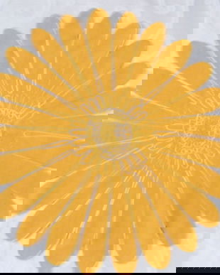 rez.Silvia Floare panza pt aplicatii