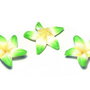 Margele din polimer, 20~23 mm