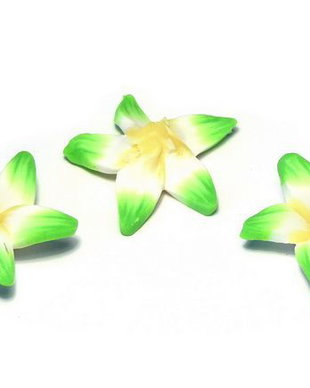 Margele din polimer, 20~23 mm