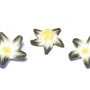 Margele din polimer, 20~23 mm