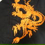 Dragon broderie